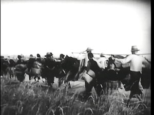 vlcsnap-2015-01-23-09h08m29s106