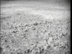 vlcsnap-2015-01-23-09h08m46s24