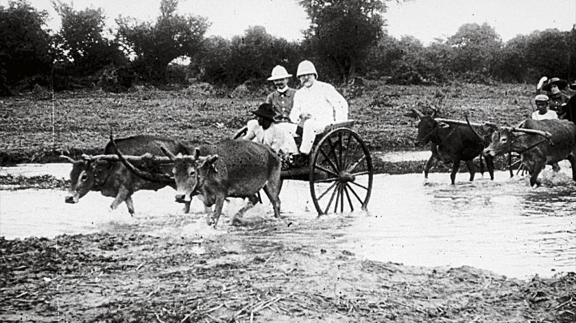 france-is-our-mother-country