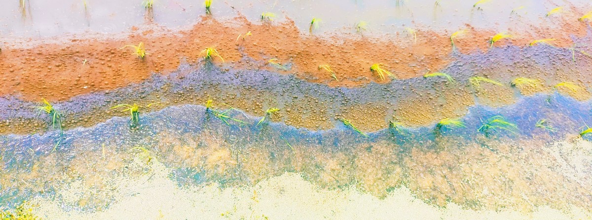 Archival film practices, found footage documentary, and compilation documentary in Japan. /1 The story of an absence? 