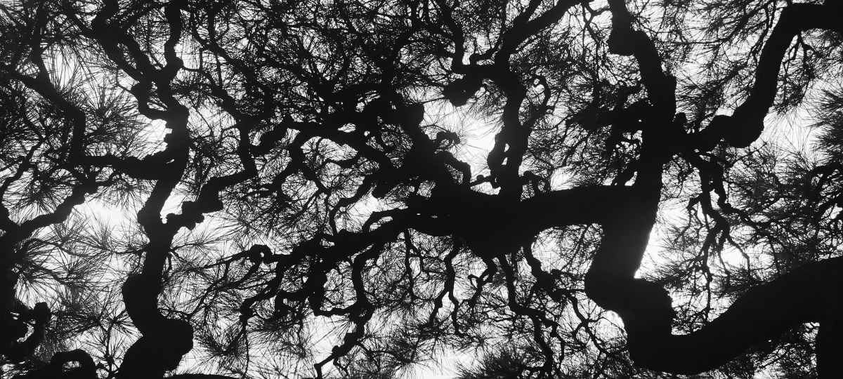 YIDFF 2025 – report 3: From the River to the Sea, and the Mountains: Filmmakers in Solidarity with Palestine – A&nbsp;Gathering