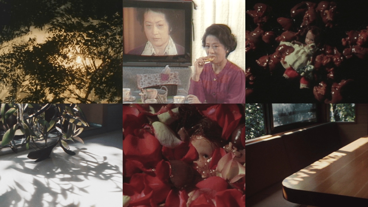 Idemitsu Mako What a Woman Made (2026)/part&nbsp;2